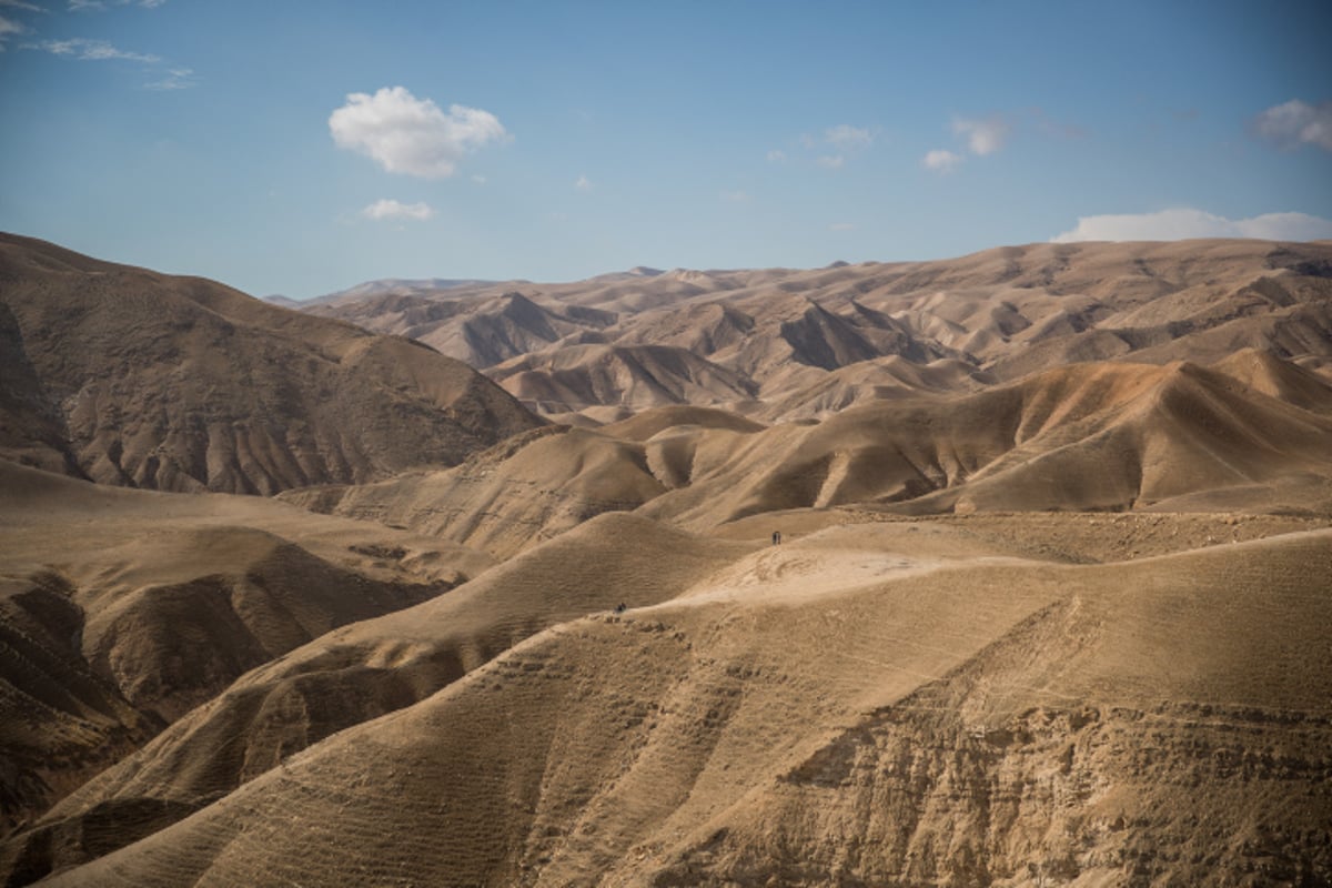 ציידי השיטפונות יצאו למדבר יהודה •  גלריה