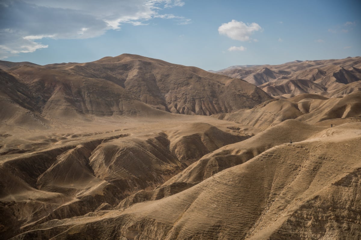 ציידי השיטפונות יצאו למדבר יהודה •  גלריה