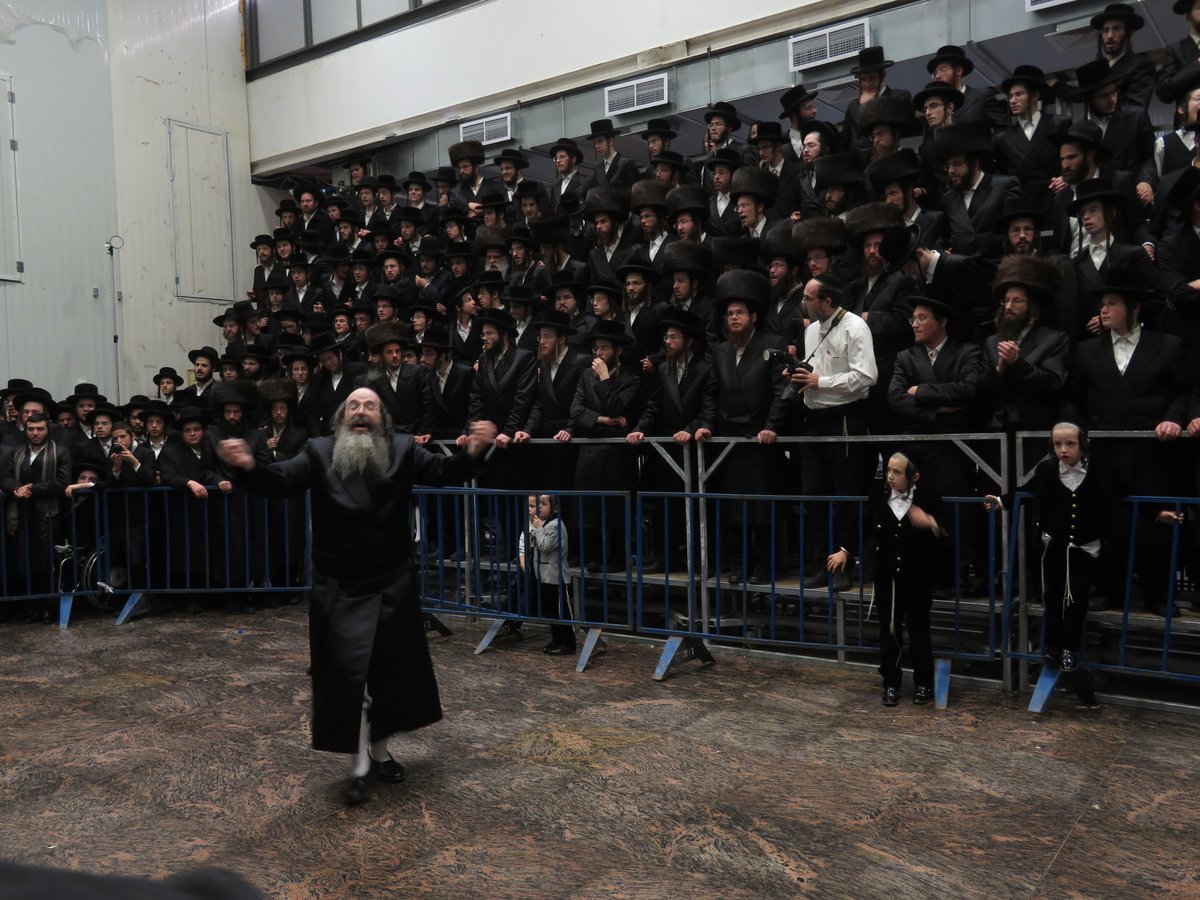 תיעוד: שמחת החתונה בחסידות 'תולדות משה'