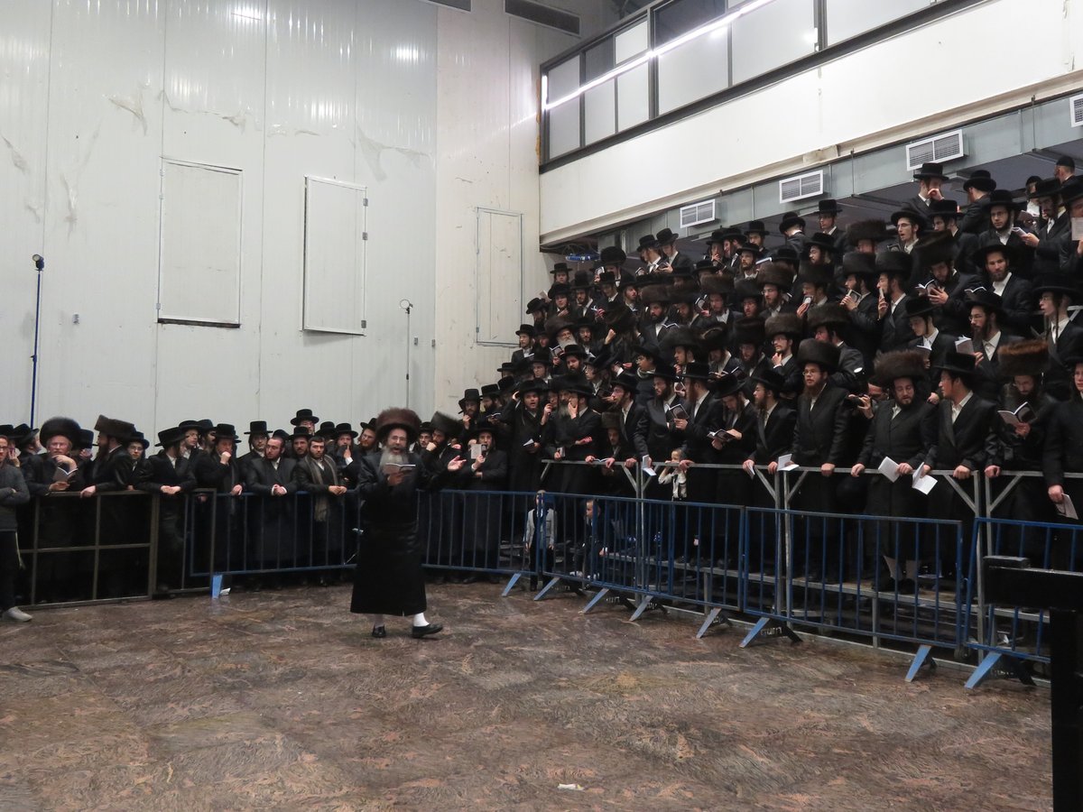 תיעוד: שמחת החתונה בחסידות 'תולדות משה'