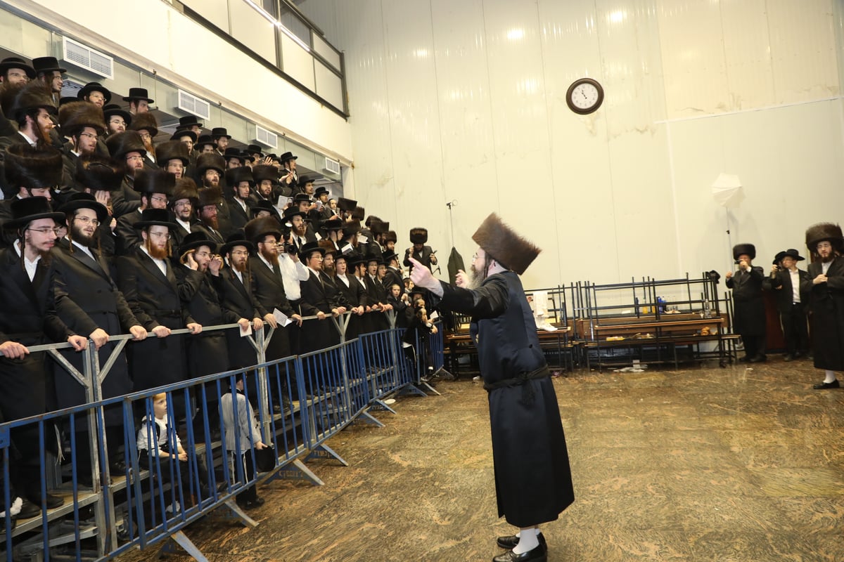 תיעוד: שמחת החתונה בחסידות 'תולדות משה'