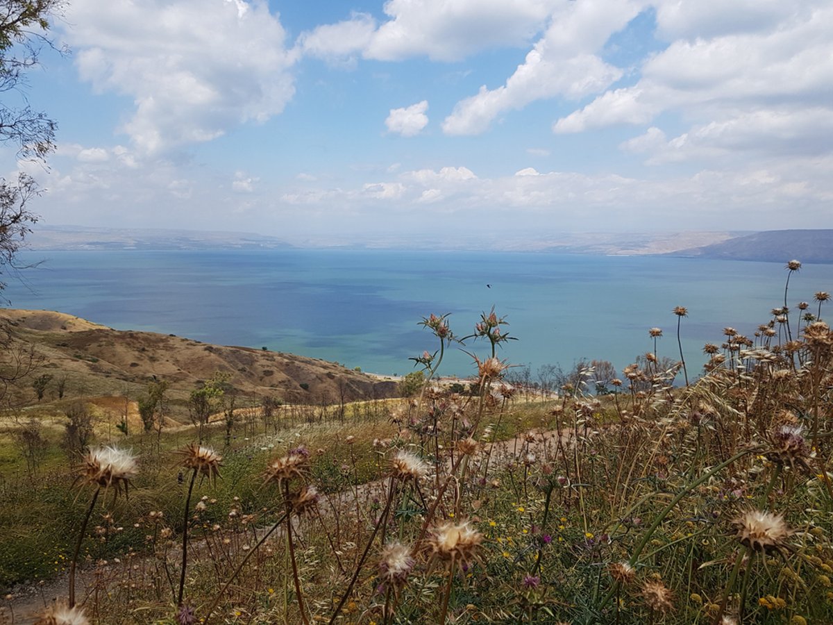 התחזית: מעונן חלקית. ביום שבת: גשמים