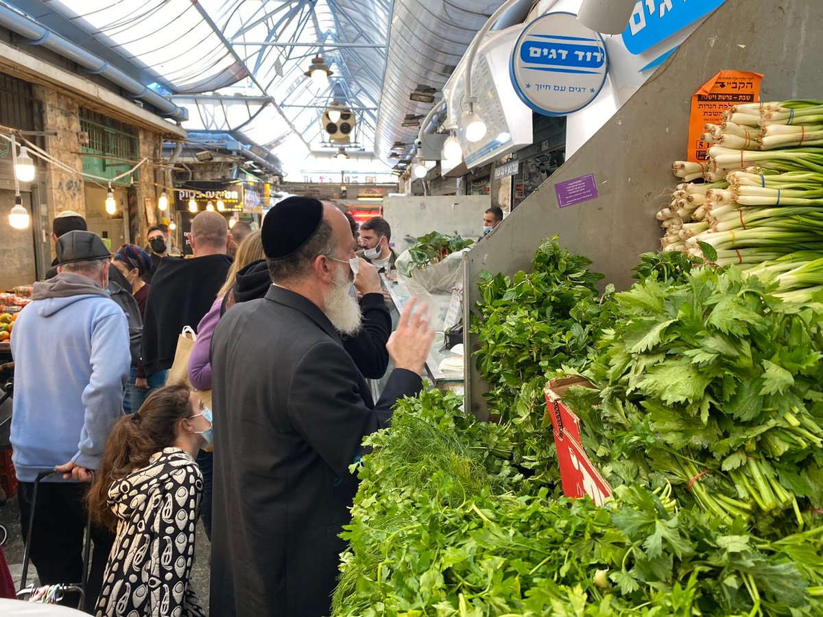 זופניק בכיכר • כל התמונות והנייעס של השבוע