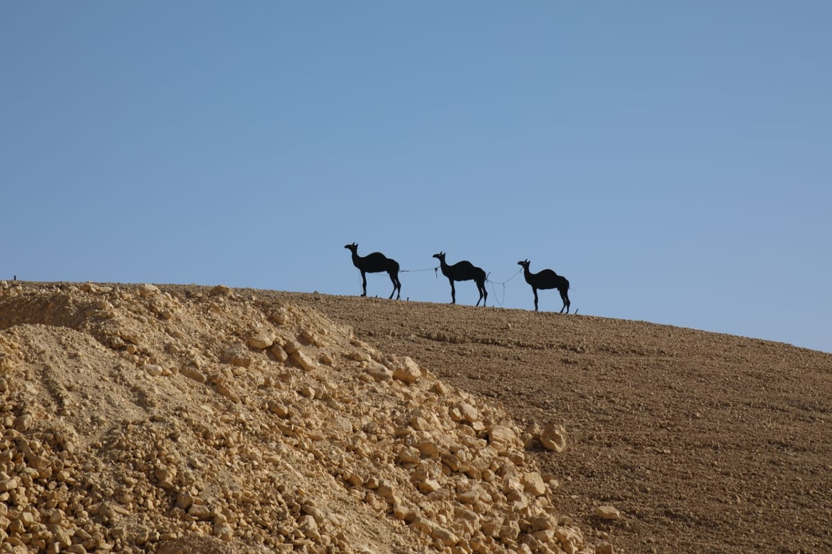 תיעוד צבעוני: רגע לפני סגירת ה'איים הירוקים'