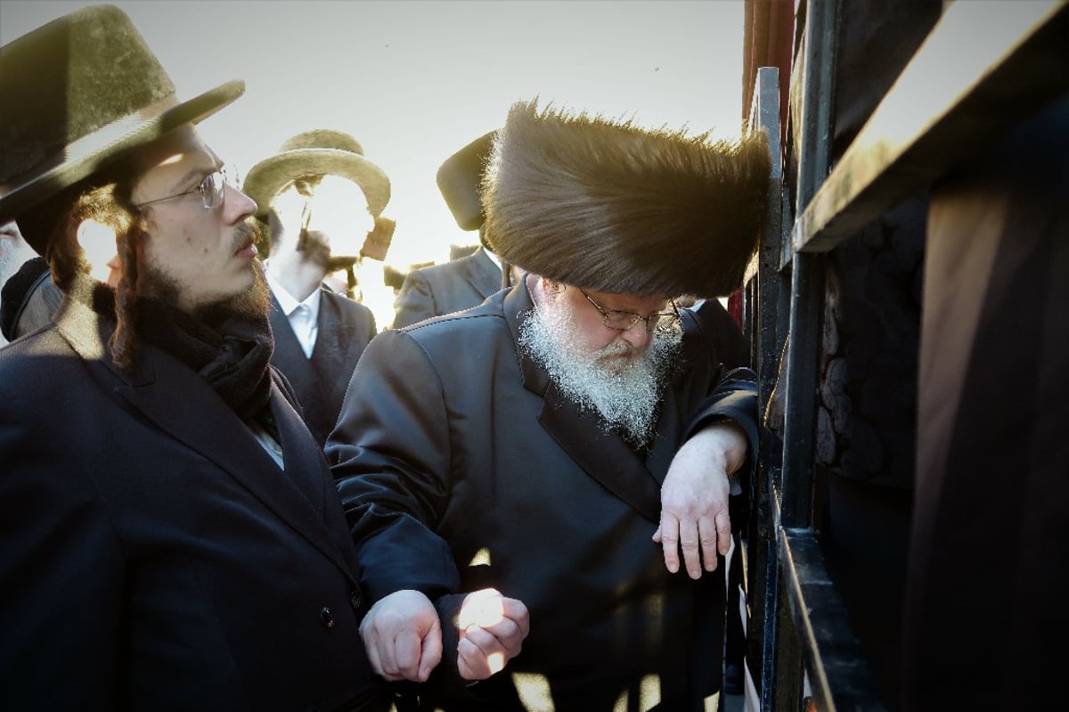 תיעוד: אדמו"רים ורבנים בשמחת החתונה לבן האדמו"ר מדינוב-ביתר