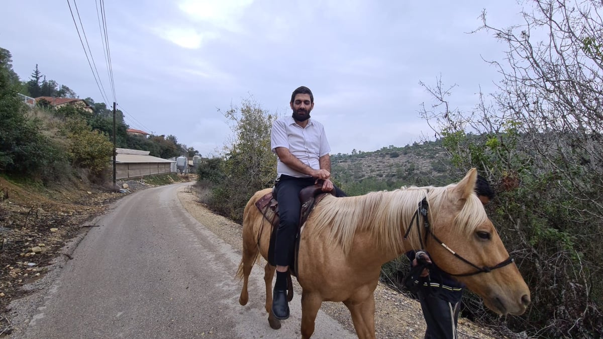 זופניק בכיכר • כל התמונות והנייעס של השבוע