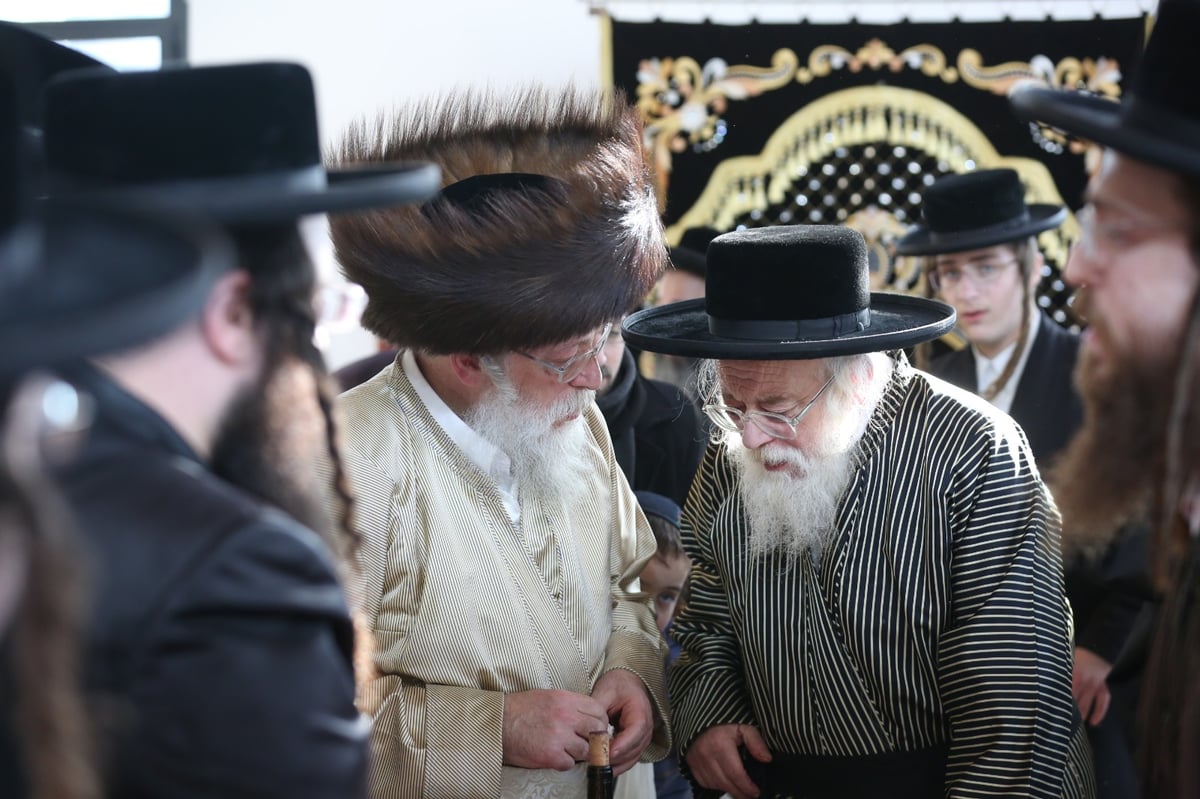 האדמו"ר מתולדות אהרן ערך ברית מילה בצפת