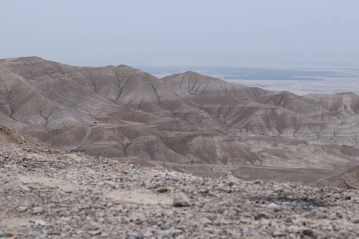 לפני הגשמים • תיעוד מיוחד מצפון ים המלח