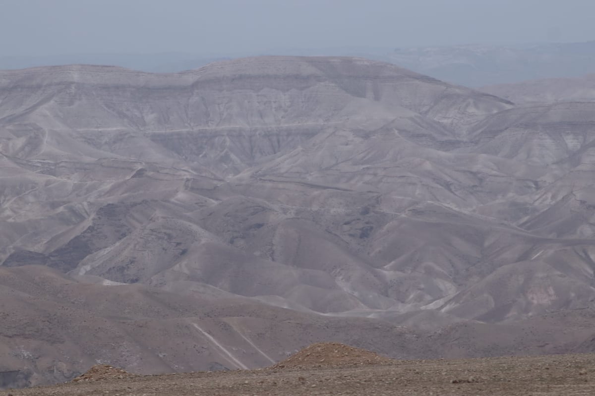 לפני הגשמים • תיעוד מיוחד מצפון ים המלח