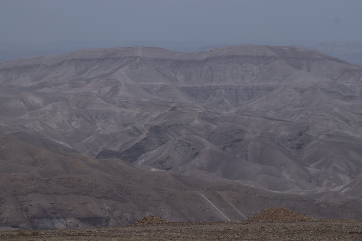 לפני הגשמים • תיעוד מיוחד מצפון ים המלח