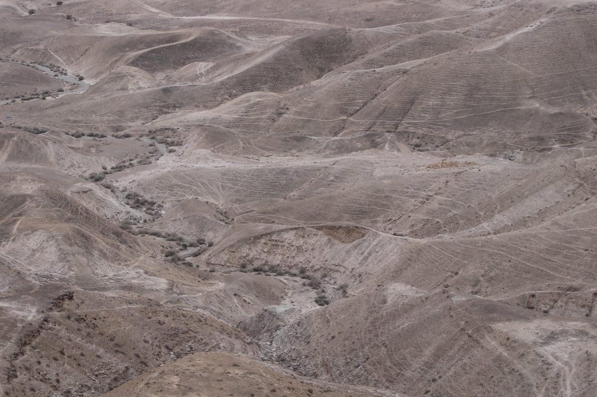 לפני הגשמים • תיעוד מיוחד מצפון ים המלח