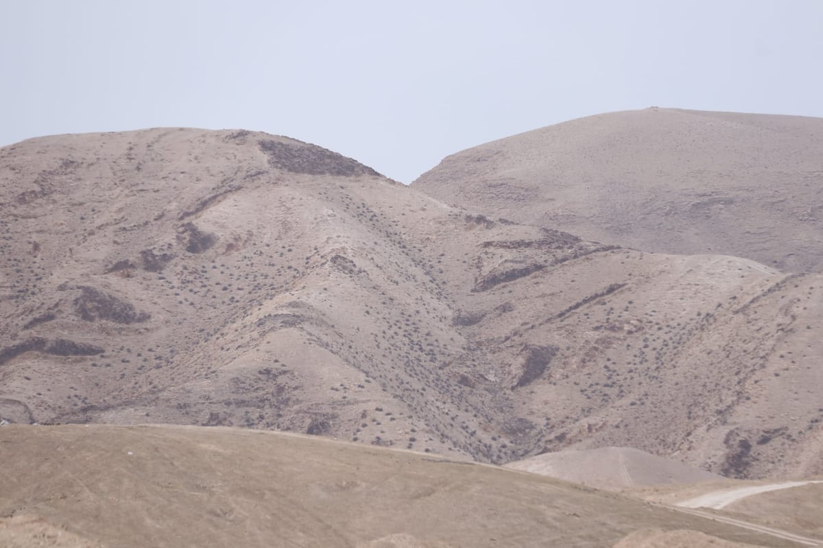 לפני הגשמים • תיעוד מיוחד מצפון ים המלח