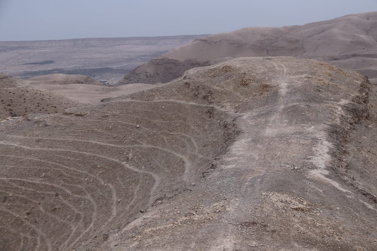 לפני הגשמים • תיעוד מיוחד מצפון ים המלח