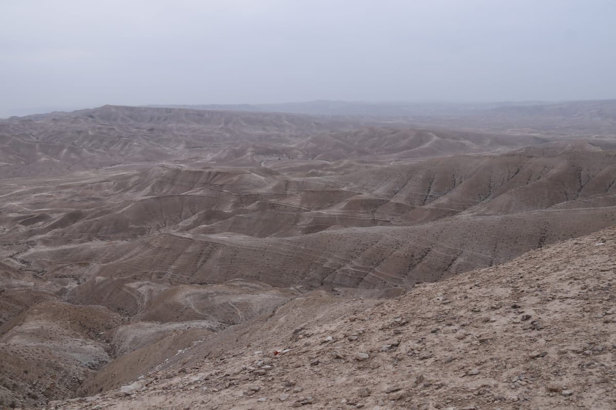 לפני הגשמים • תיעוד מיוחד מצפון ים המלח