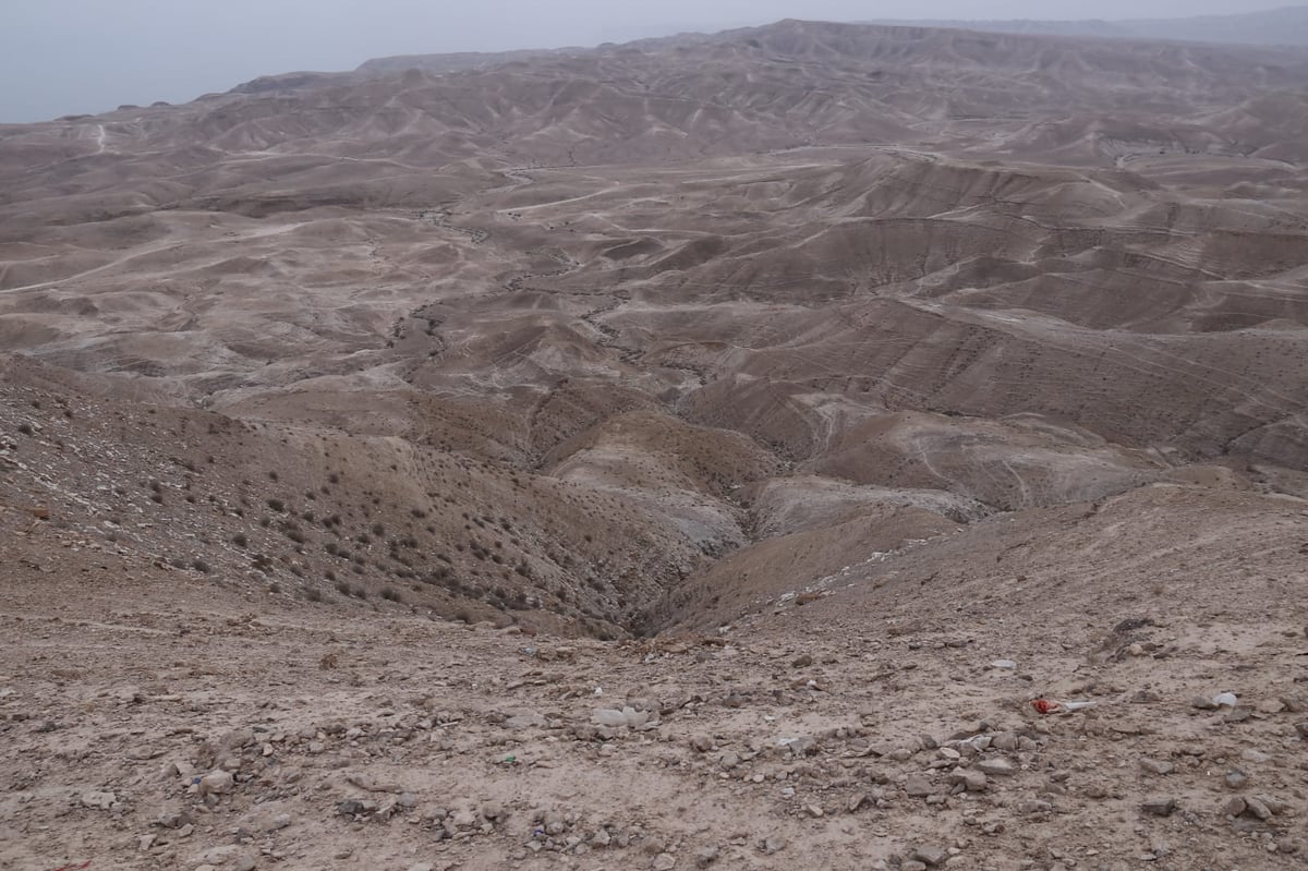 לפני הגשמים • תיעוד מיוחד מצפון ים המלח