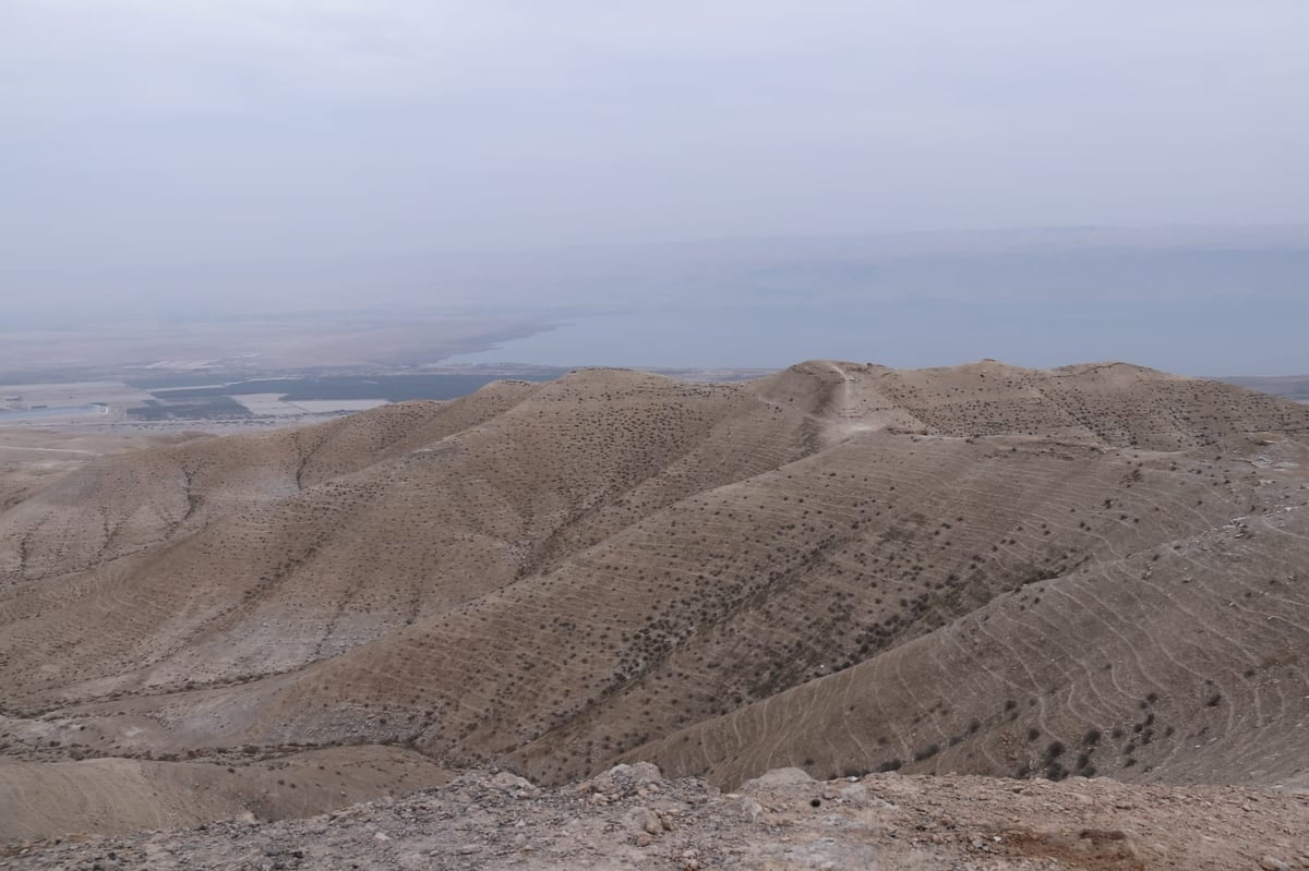 לפני הגשמים • תיעוד מיוחד מצפון ים המלח