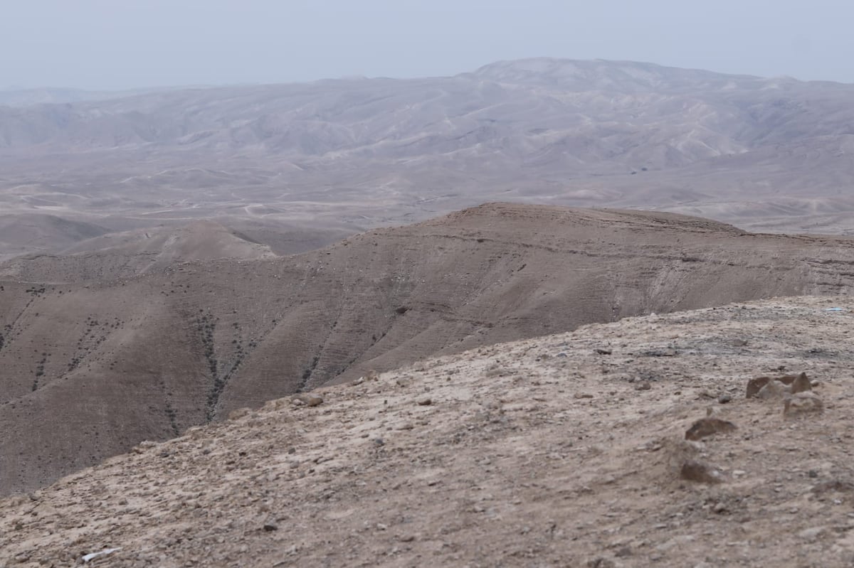 לפני הגשמים • תיעוד מיוחד מצפון ים המלח