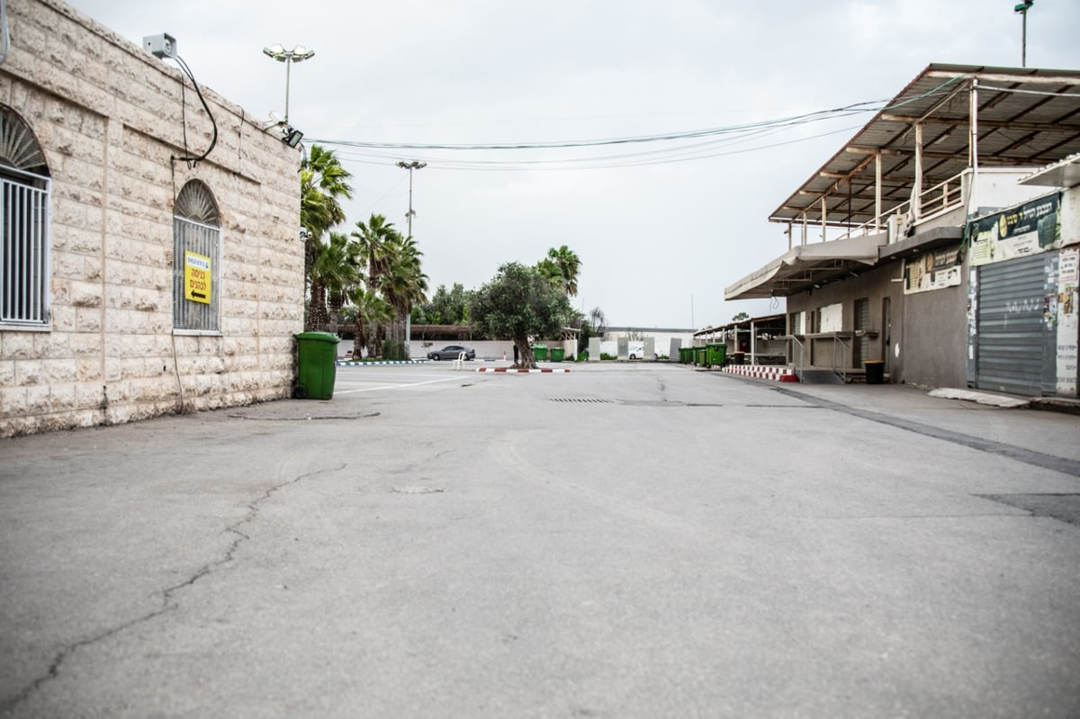 תיעוד מסכם: הילולת הבאבא סאלי בנתיבות