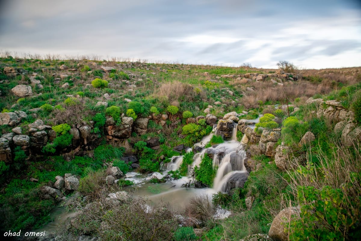 וואו: זרימה מדהימה בנחל דליות ובריכת קשת