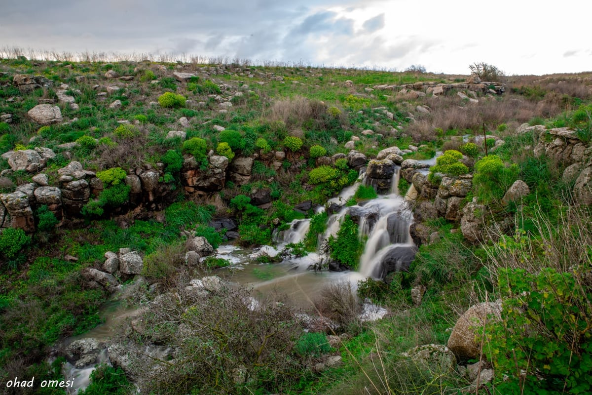 וואו: זרימה מדהימה בנחל דליות ובריכת קשת