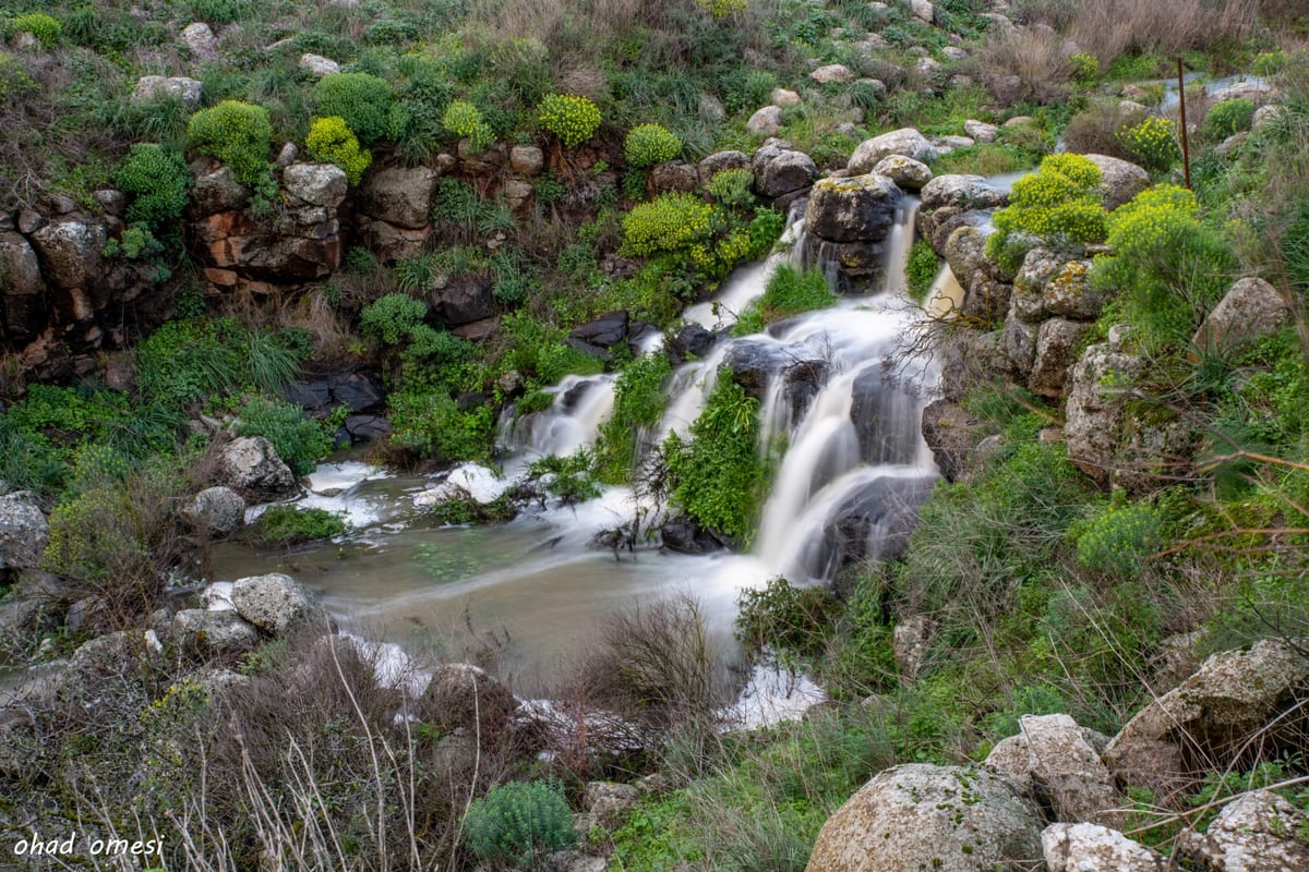 וואו: זרימה מדהימה בנחל דליות ובריכת קשת