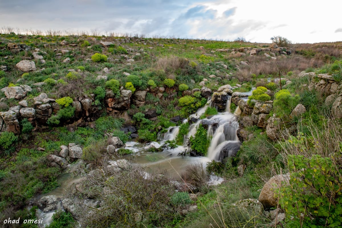 וואו: זרימה מדהימה בנחל דליות ובריכת קשת