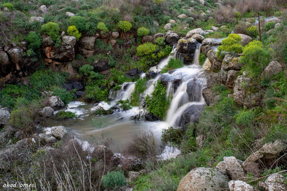 וואו: זרימה מדהימה בנחל דליות ובריכת קשת