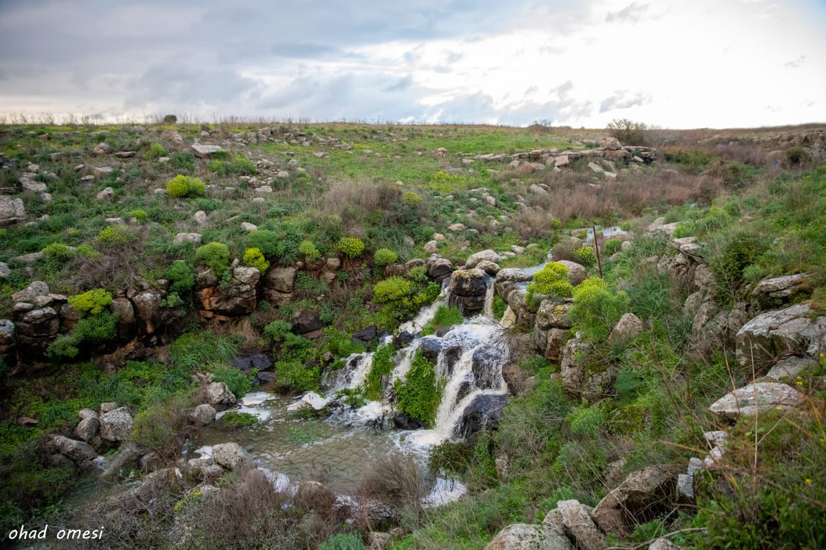 וואו: זרימה מדהימה בנחל דליות ובריכת קשת