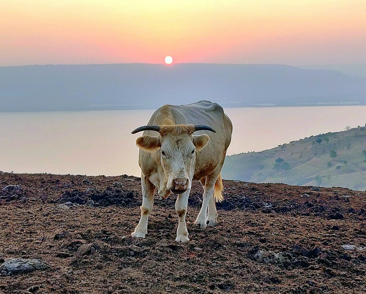 מדרום לצפון: גלריה מרהיבה מרחבי הארץ