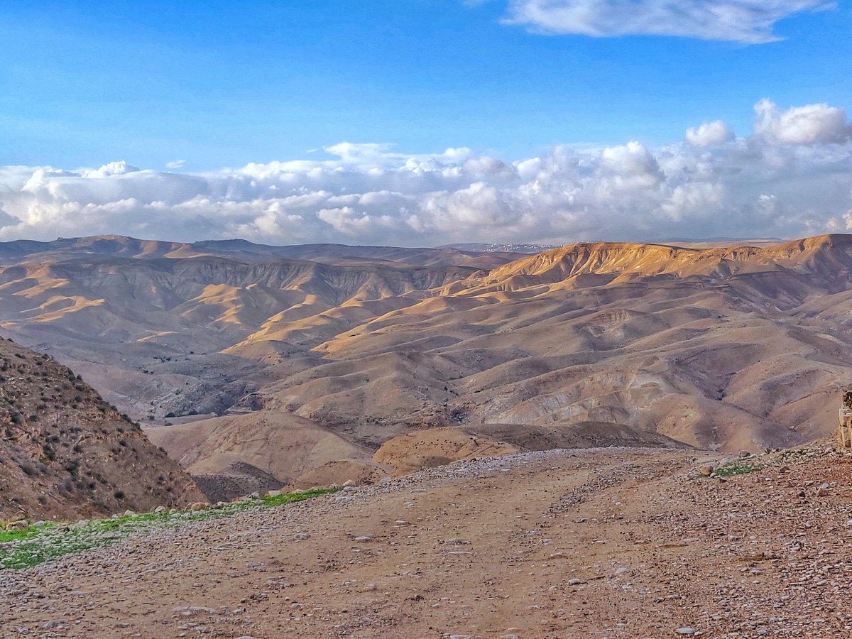 מדרום לצפון: גלריה מרהיבה מרחבי הארץ