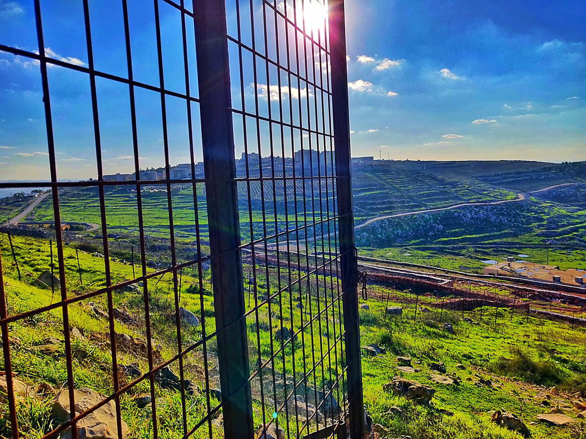 מדרום לצפון: גלריה מרהיבה מרחבי הארץ