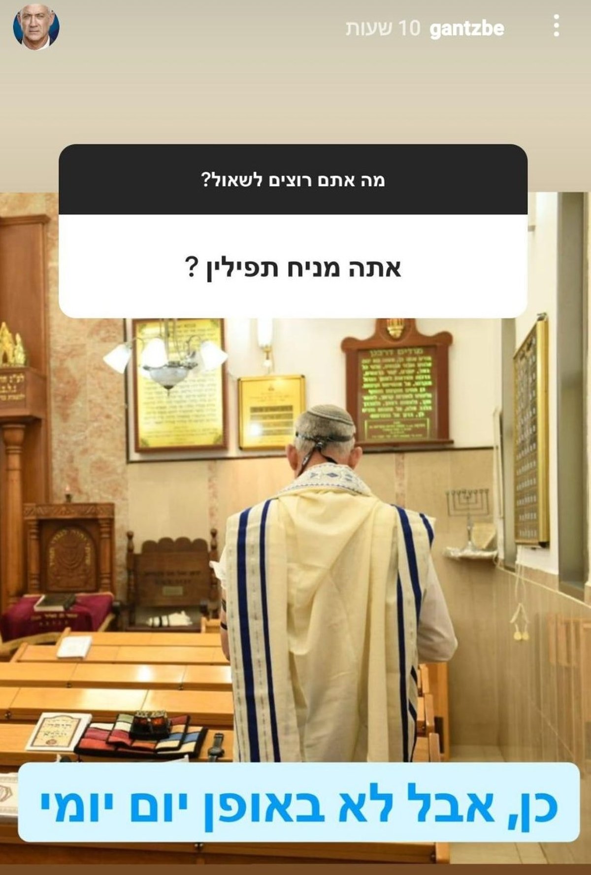 זופניק בכיכר • כל התמונות והנייעס של השבוע