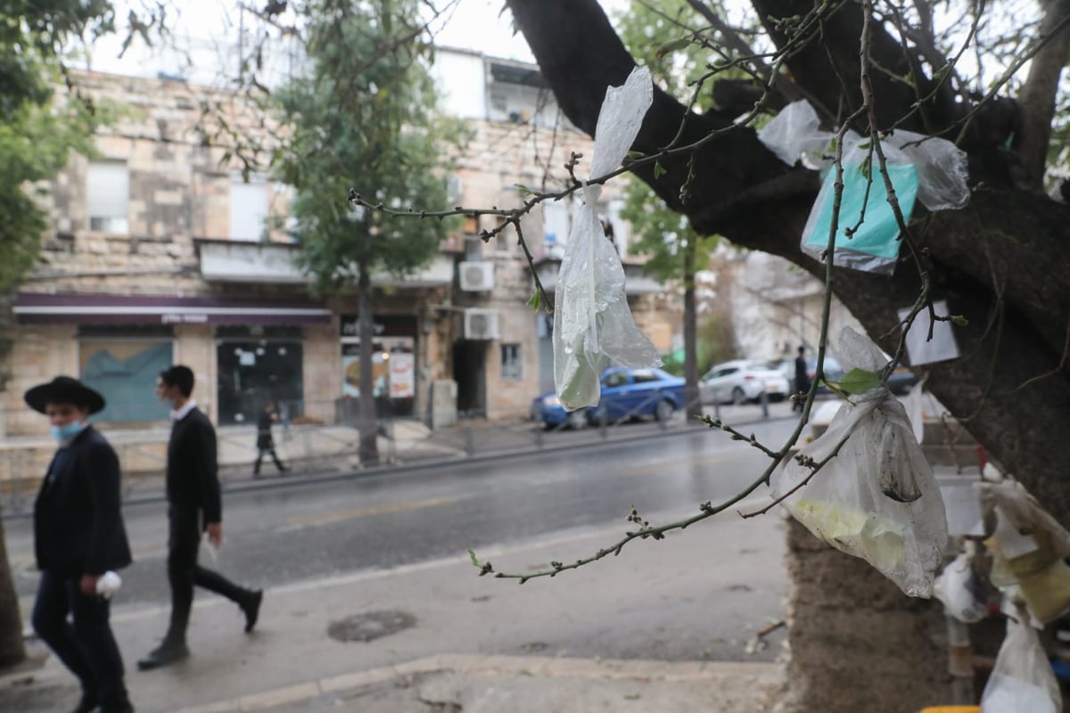 מדוע העץ "מקושט" בעשרות שקיות תלויות