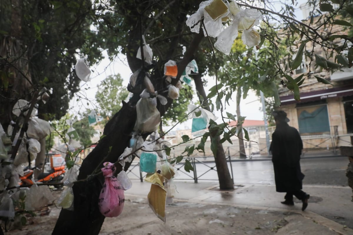 מדוע העץ "מקושט" בעשרות שקיות תלויות