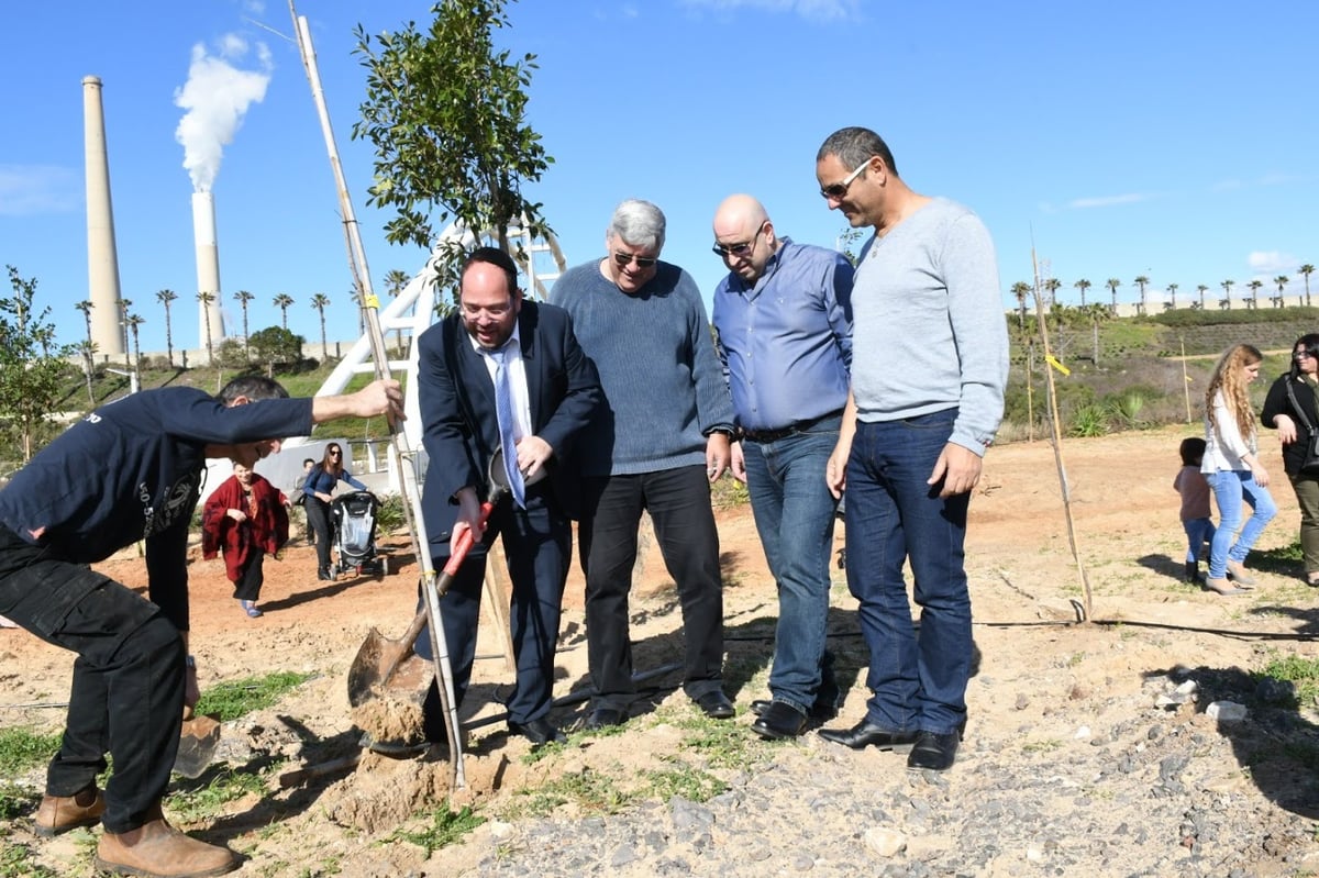 נטיעות ט"ו בשבט בחדרה, בשנה שעברה