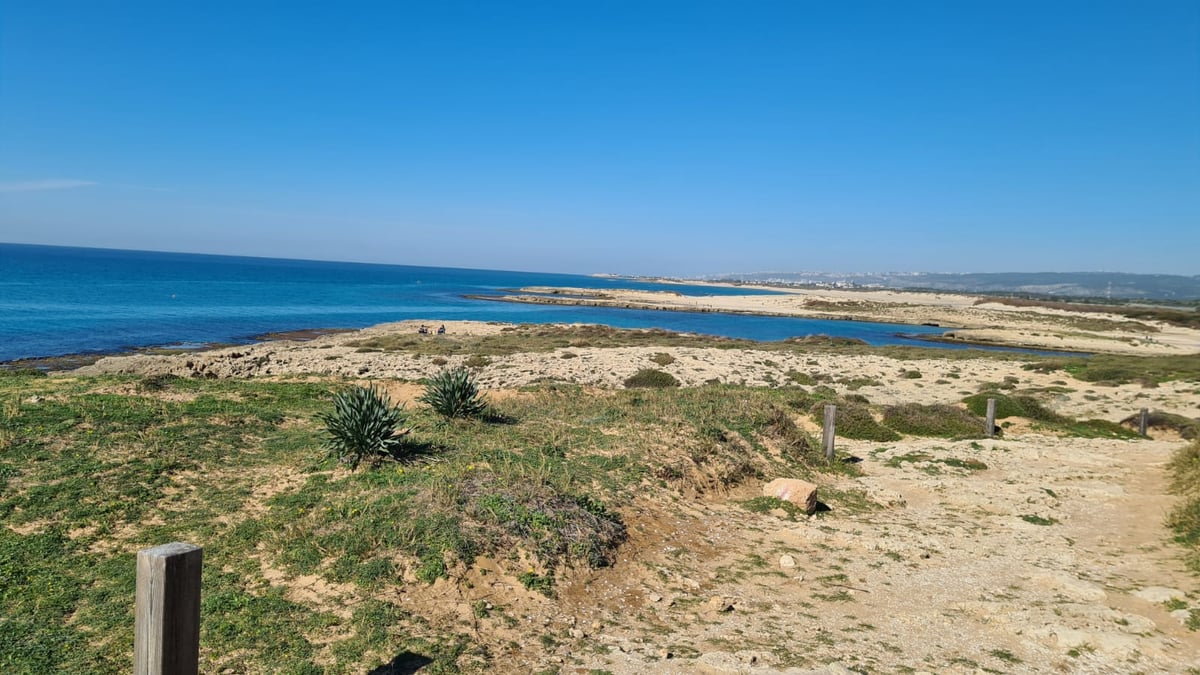 בואו להירגע עם התמונות מחוף הבונים; צפו