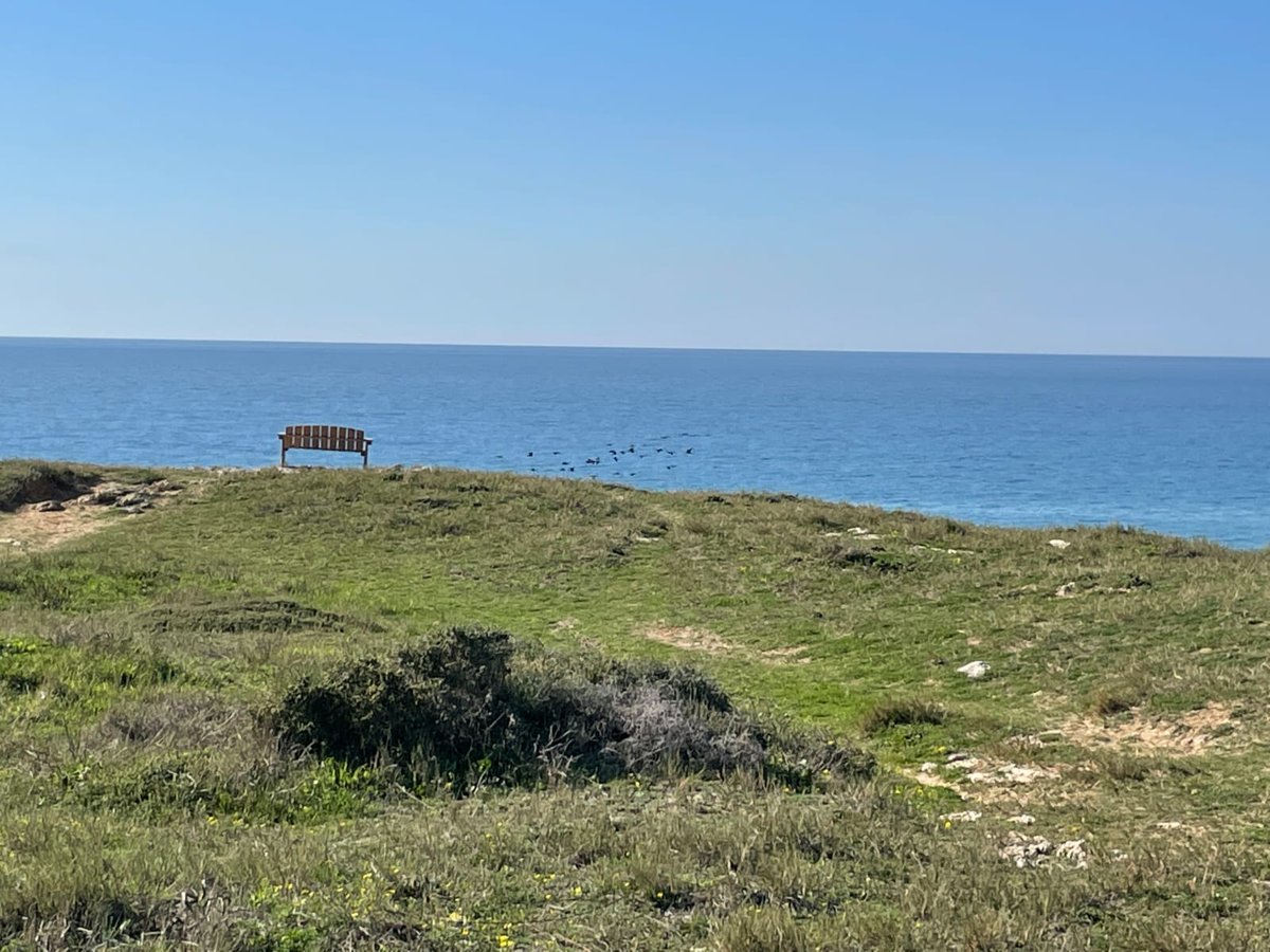 בואו להירגע עם התמונות מחוף הבונים; צפו