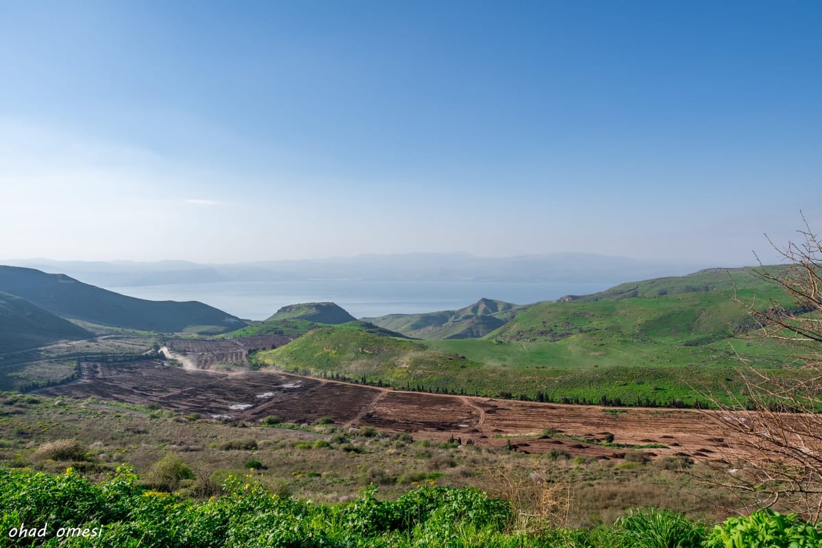 רגע לפני הסערה: תמונות טבע מהגולן • צפו