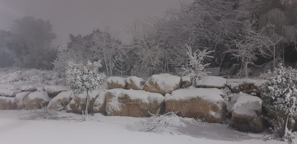 גוש עציון קרדיט: דוברות המועצה האזורית גוש עציון