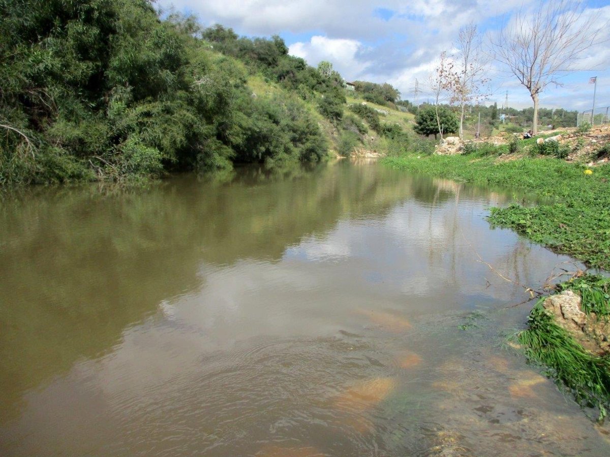 טיול לנחלים הסמוכים לראש העין ונחשונים