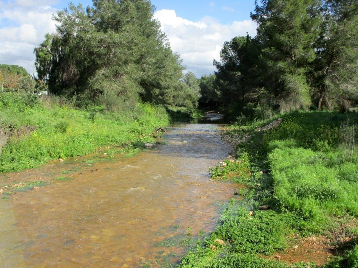 טיול לנחלים הסמוכים לראש העין ונחשונים