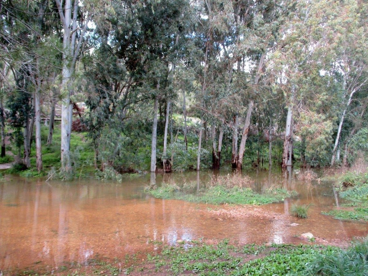 טיול לנחלים הסמוכים לראש העין ונחשונים