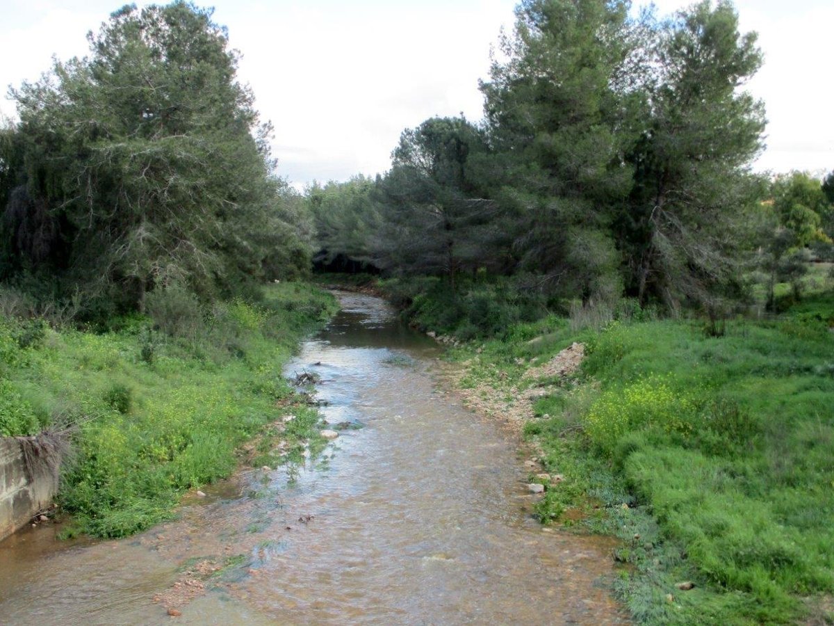 טיול לנחלים הסמוכים לראש העין ונחשונים