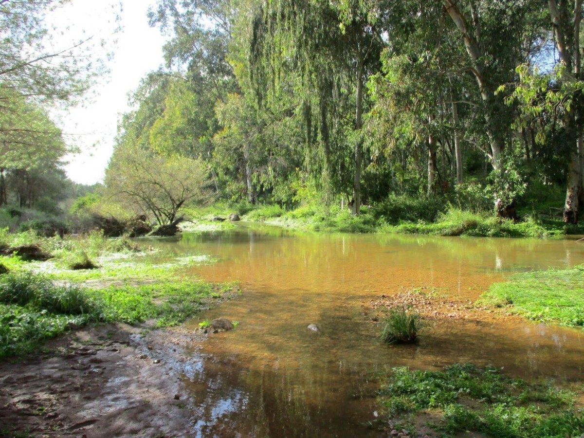 טיול לנחלים הסמוכים לראש העין ונחשונים