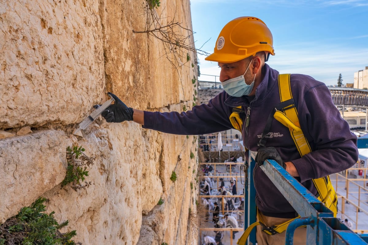 כך שומרים על בריאות אבני הכותל המערבי