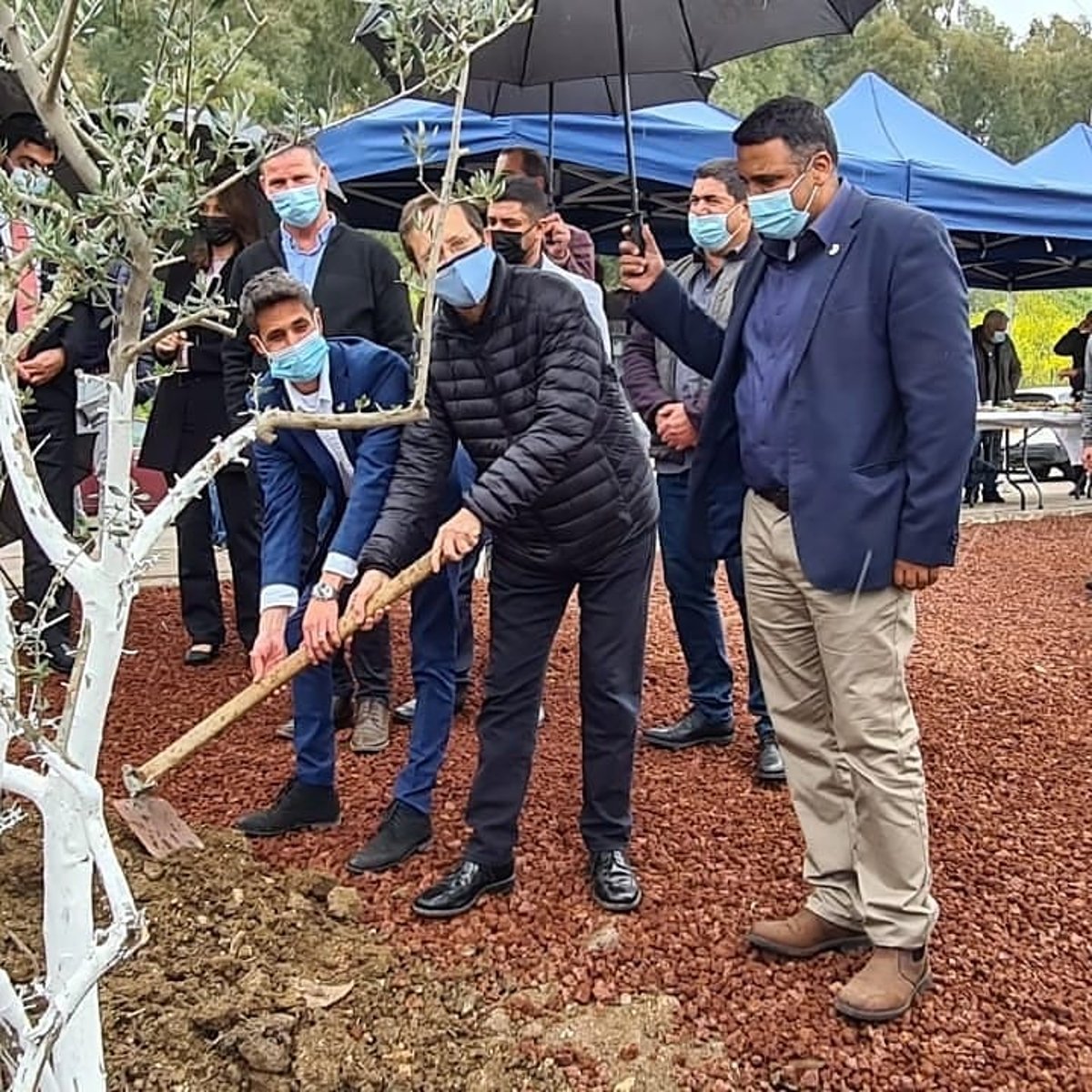 שדרת עצים לזכר הנספים במגיפת הקורונה