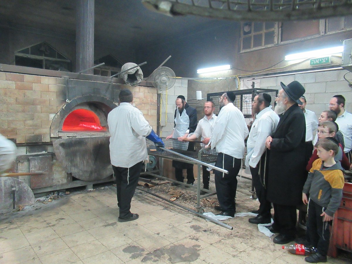 ה'חבורה' של פוניבז' באפיית מצות • תיעוד