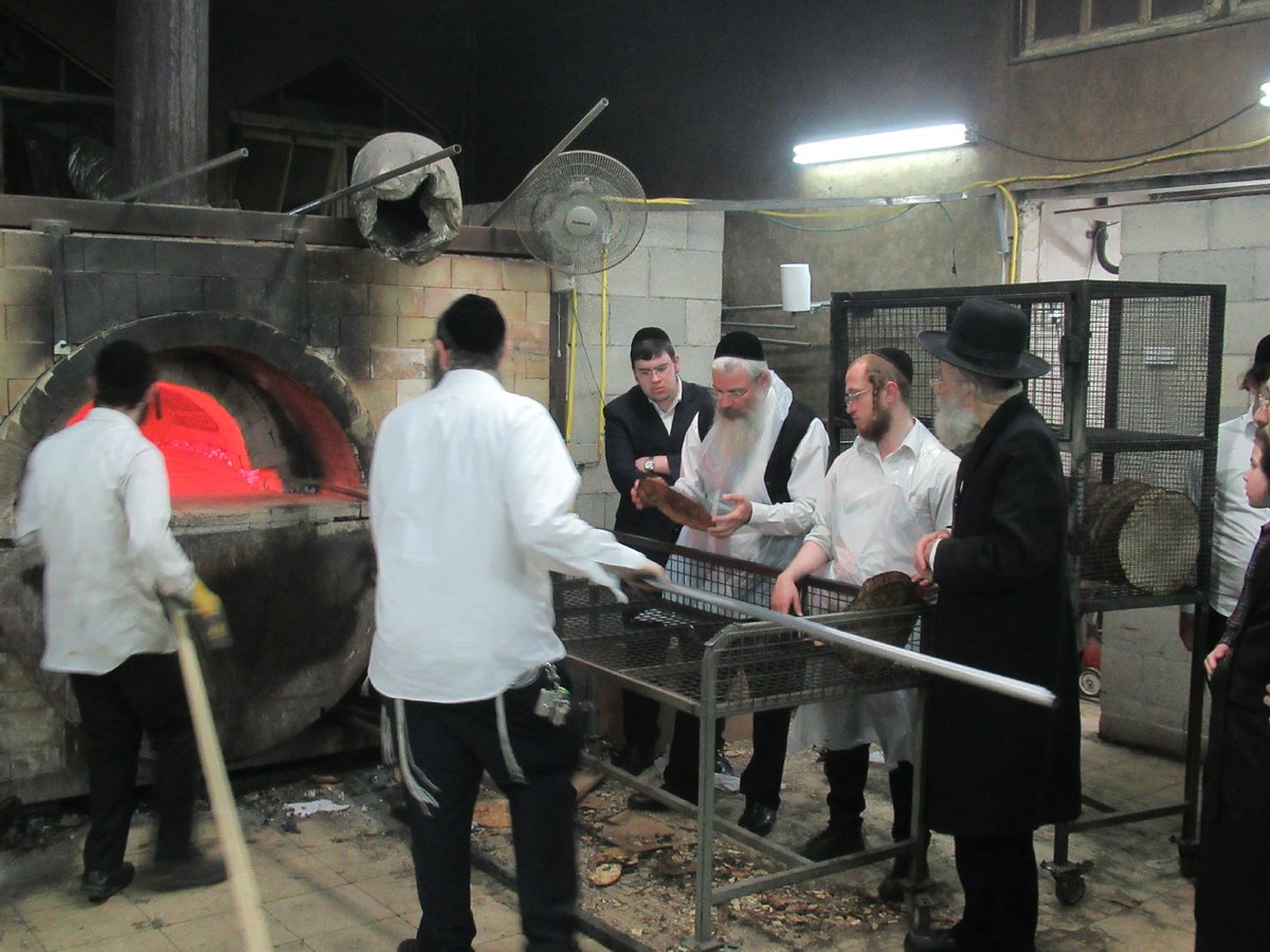 ה'חבורה' של פוניבז' באפיית מצות • תיעוד