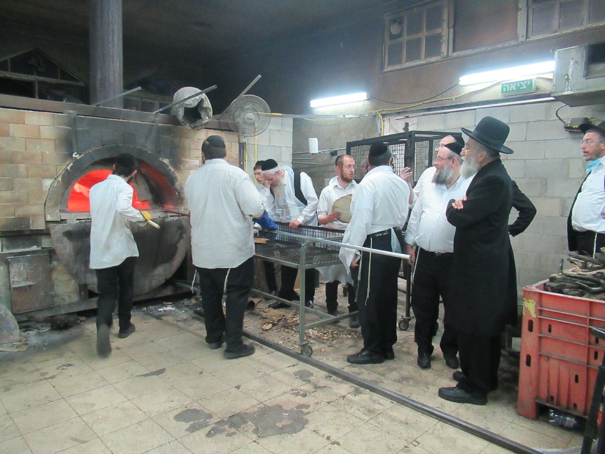 ה'חבורה' של פוניבז' באפיית מצות • תיעוד