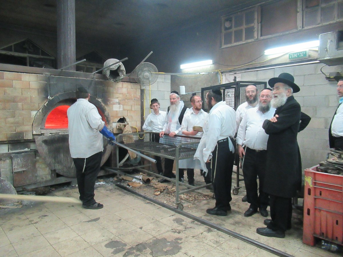 ה'חבורה' של פוניבז' באפיית מצות • תיעוד